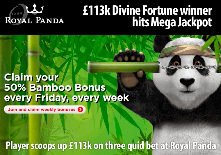 Player scoops up 113k on three quid bet at Royal Panda
