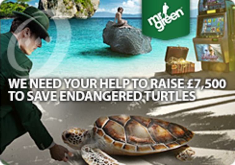 At Mr Green you can save endangered turtles by playing slots