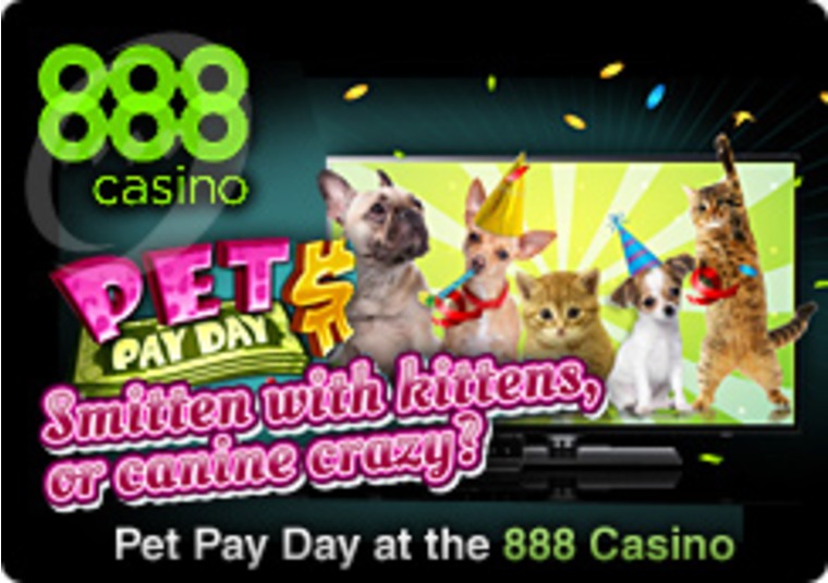 Pet Pay Day at the 888 Casino