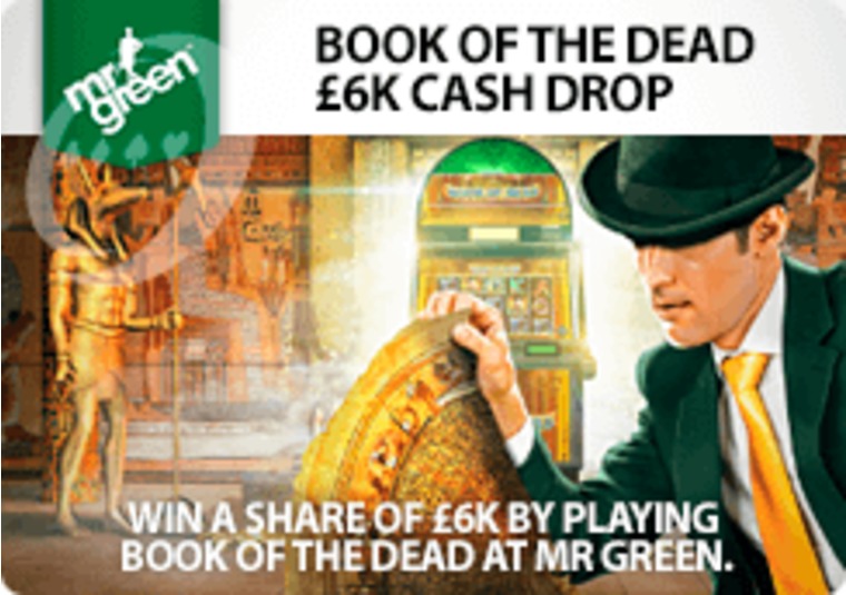 Win a share of 6k by playing Book of the Dead at Mr Green