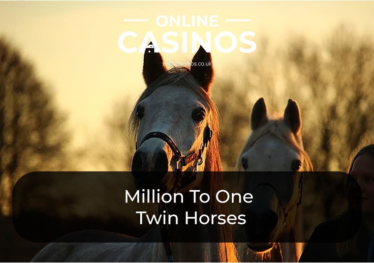 Million To One Twin Horses