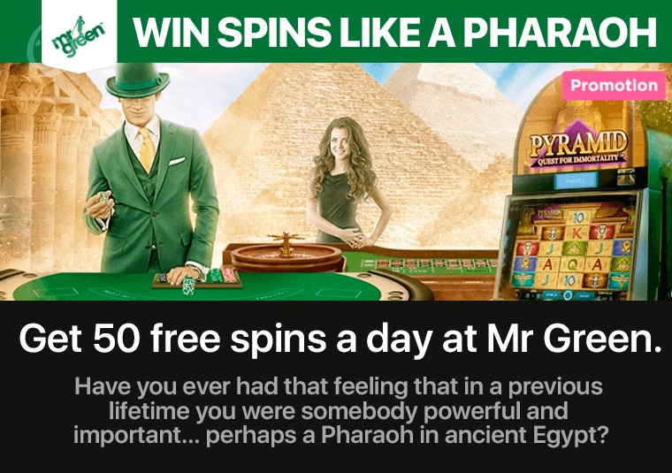 Get 50 free spins a day at Mr Green