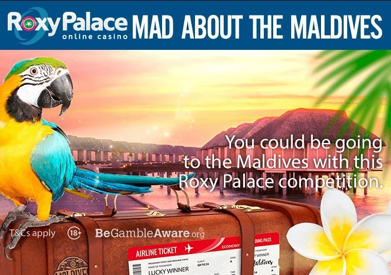 You could be going to the Maldives with this Roxy Palace competition