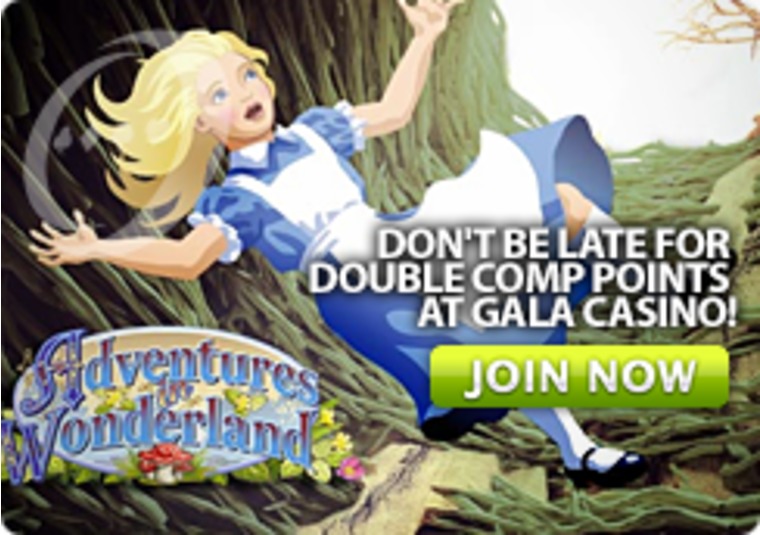 Don't Be Late For Double Comp Points at Gala Casino