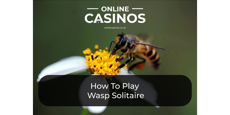 Wasp Solitaire is a popular card game that blackjack fans will love