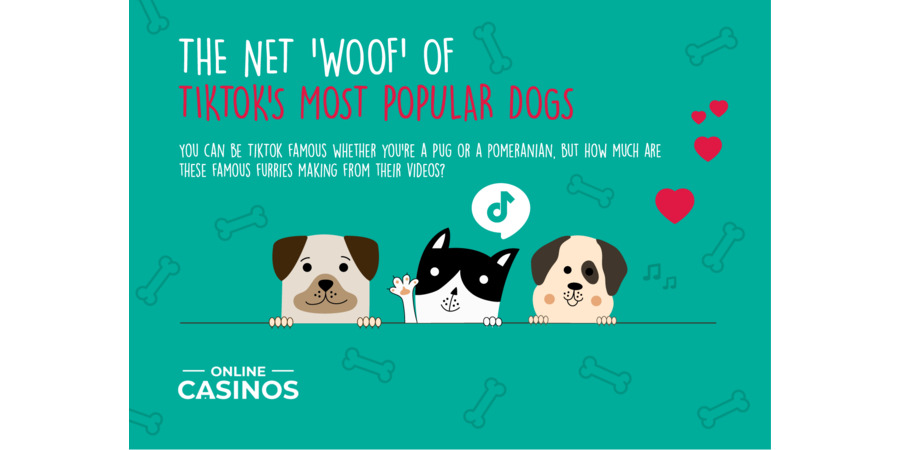 THE NET WOOF OF TIKTOKS MOST POPULAR DOGS