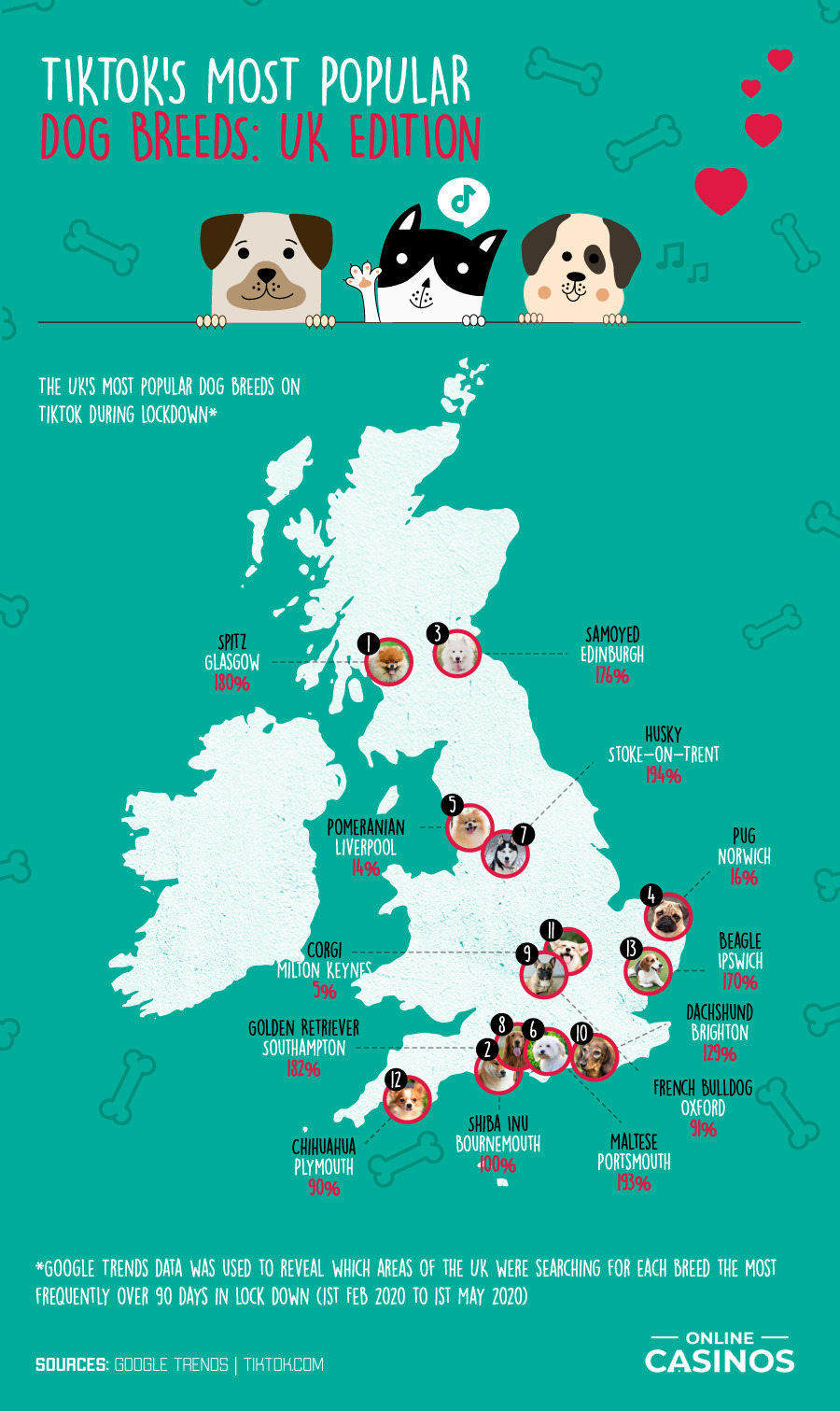 4. TIKTOKS MOST POPULAR DOG BREEDS UK EDITION