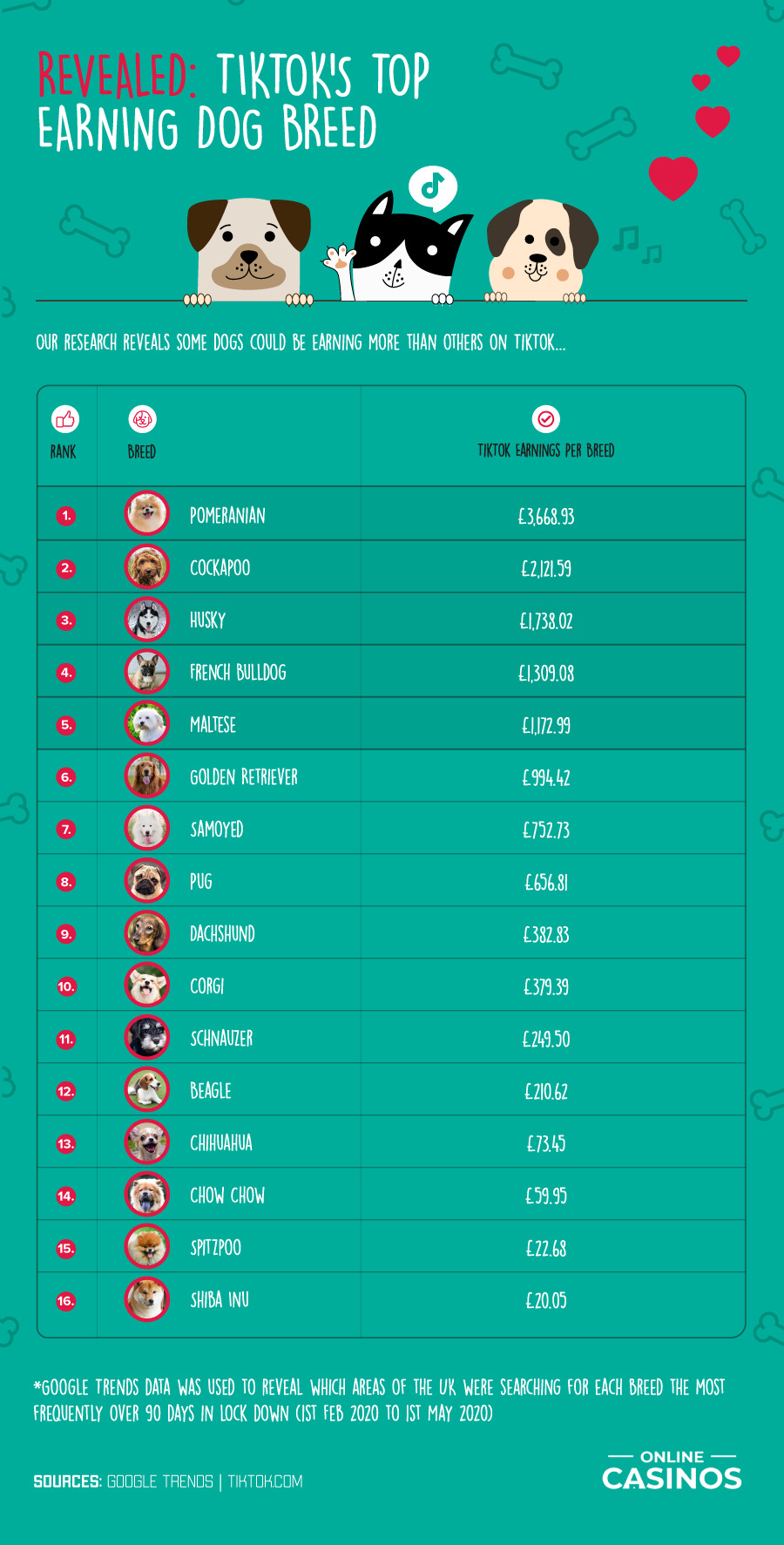 3. TIKTOKS TOP EARNING DOG BREED